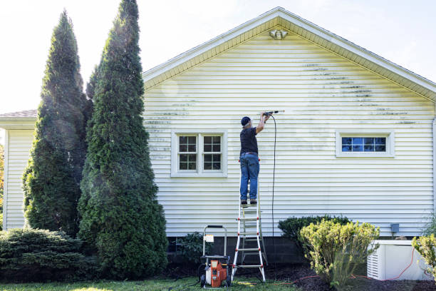 Reliable Paris, TN Pressure Washing Services Solutions