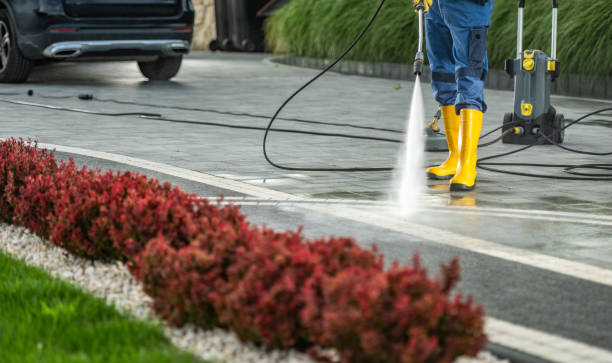 Best Deck and Patio Pressure Washing in Paris, TN